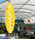 Private 4 bedroom home in Bridgman offers a cozy retreat & best of  town life.