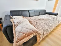 Cosy Central Cardiff Bungalow Hotels in Grangetown