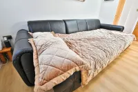 Cosy Central Cardiff Bungalow