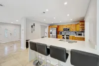 The Oasis Under the Palms