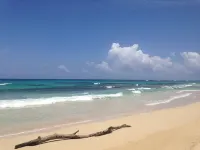 Back Packer’s Paradise Hotels in Long Bay