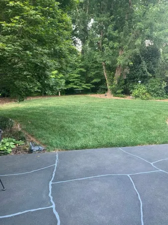 Modern & Bright 3-bedroom house in Greenville between airport & downtown w/ WiFi