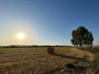 2 Bedroom Private vacation home in Montalbano Jonico Hotels in Montalbano Jonico