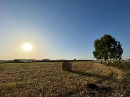 2 Bedroom Private vacation home in Montalbano Jonico Отели рядом с достопримечательностью «Golf Club Metaponto»