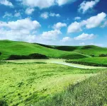 "Il Chicco"-small dream in beautiful southern Tuscany.