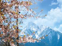 Apartment Kaltenbach near Ski Paradise - 무료 와이파이