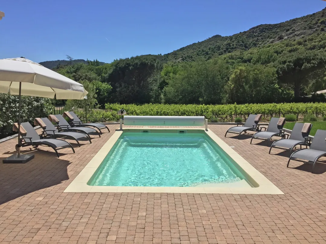 Villa In Plan-de-la-tour With Pool & Vineyard Views - Côte d'Azur