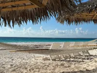 Hibiscus Hill Guest House - Elegant Garden Oasis, Pink Sand Bch 4 Bedroom Home