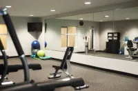 Holiday Inn Express HICKORY-HICKORY MART by IHG - gimnasio
