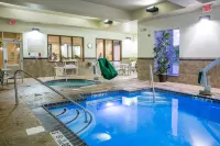 Holiday Inn & Suites BLOOMINGTON-AIRPORT by IHG - Pools