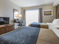 Comfort Inn Hotels near Preserved Seed