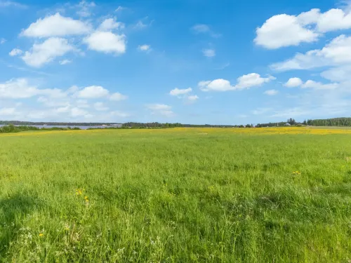 Kelo-Kolo Hotels in Iisalmi