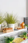 Hotel Philadelphia - servizio colazione
