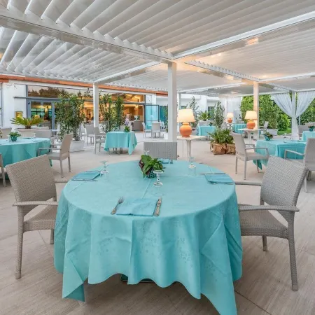Acacia Marina