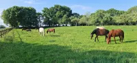 Les Escales de Marion - Bed and breakfasts
