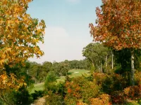 Little Haven Leura Cottage with Spa Bath and BBQ