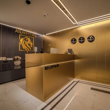 Aslan Gold Hotel Hotels in Odesos
