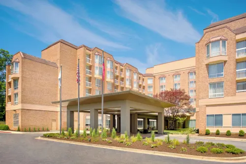 Wyndham Atlanta Perimeter - bar