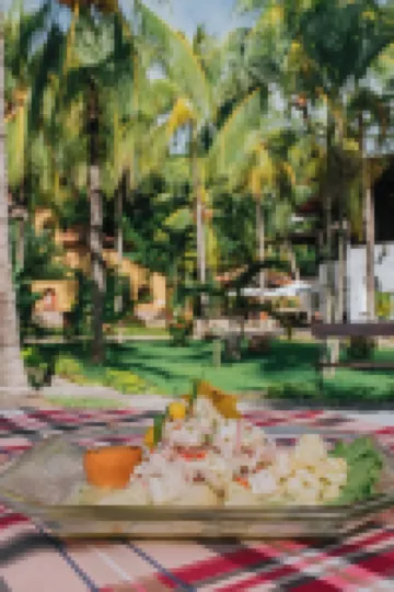 Puerto Palmeras 迪拉伯土度假村 聖馬丁酒店