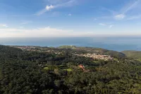 Quinta Senhora da Vida - a house in the middle of the forest, overlooking the sea