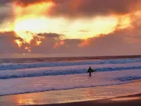 Soul & Sea #5 - Walk to Beach - Apartments
