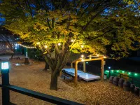 Gunwi Palgongsan Gagopa & Big Rock Pension 把渓寺周辺のホテル