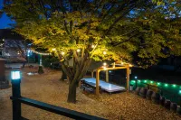 Gunwi Palgongsan Gagopa & Big Rock Pension - Homestays
