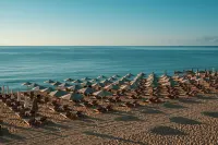 Grifid Noa - en bord de mer