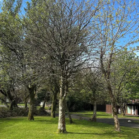 Lodge 22, Bodmin Holiday Park, Cornwall
