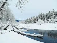 Two-bedroom Plus Loft Chalet w/ Mountain Views Hotels near Chair 6