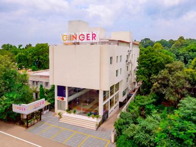 Ginger Bhavnagar