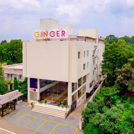 Ginger Bhavnagar