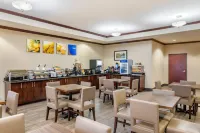 Comfort Inn & Suites Navasota - Wifi