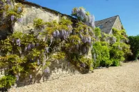 Marlborough Arms - Pet friendly
