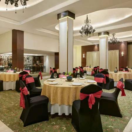 The Fern Residency Udaipur, Series by Marriott