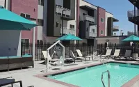 Calm Luxury Living 1BR Retreat Pool, Hot Tub, Wifi - Apartments