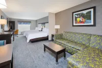 Holiday Inn Express & Suites ANN ARBOR WEST by IHG - Parkering