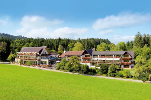 Hotel Grüner Wald - Spa
