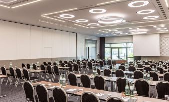 Radisson Blu Conference Hotel, Dusseldorf