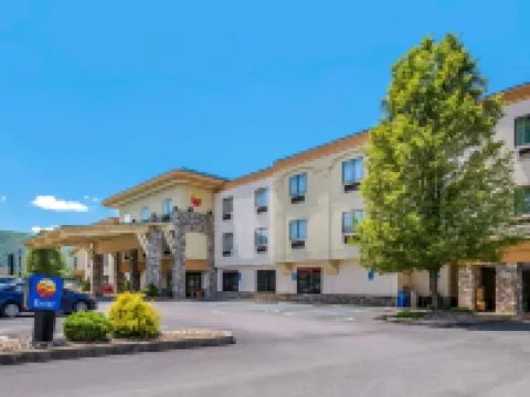 Comfort Inn Williamsport Hotels in Loyalsock Township