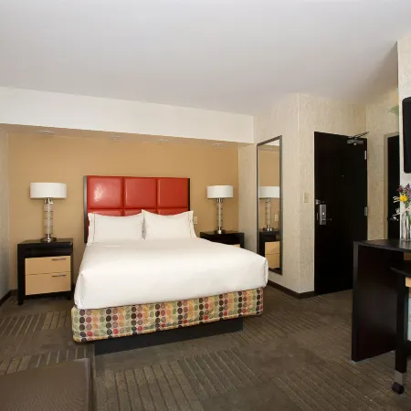 Holiday Inn Express Denver Downtown by IHG