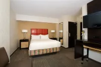 Holiday Inn Express DENVER DOWNTOWN by IHG Hotel a Denver