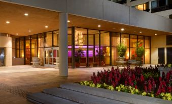 Hilton San Francisco Airport Bayfront - No Resort Fee