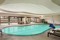 Embassy Suites by Hilton Convention Center Las Vegas - Pools