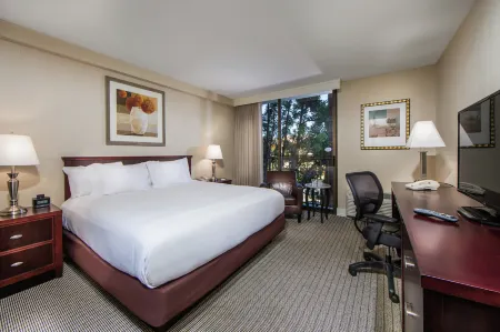 힐튼 어바인/오렌지 카운티 에어포트