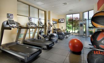 a well - equipped gym with various exercise equipment , including treadmills , stationary bikes , and a yoga ball at DoubleTree by Hilton Dulles Airport - Sterling