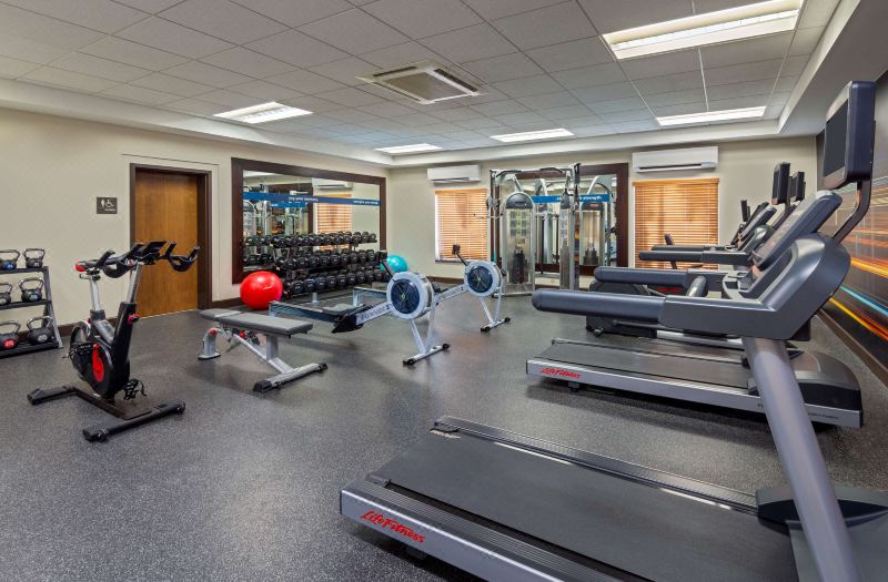 Hampton Inn & Suites Sarasota/Lakewood Ranch photo 3