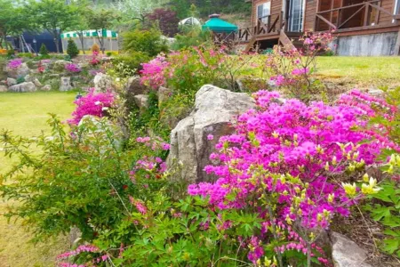 Yeongju Happy Pension