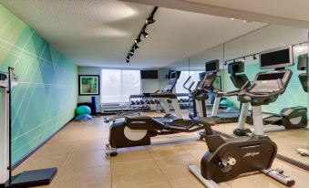 a well - equipped gym with various exercise equipment , including treadmills and stationary bikes , arranged in an indoor setting at Holiday Inn Staunton Conference Center