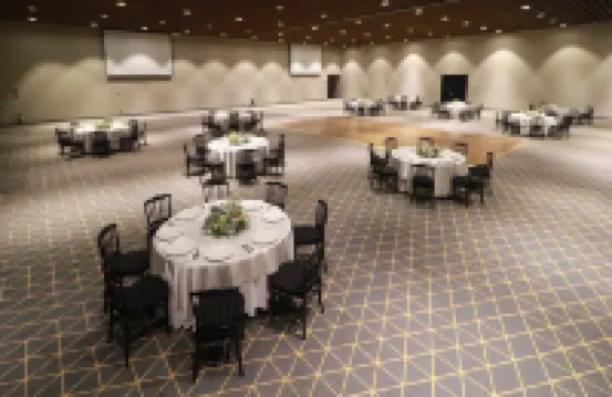 Holiday Inn SAN LUIS POTOSI-QUIJOTE by IHG - Pools